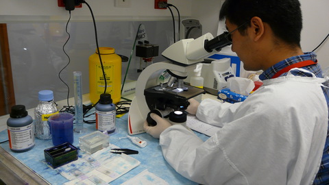 f burnet institute malaria research 2011 007