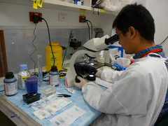 f burnet institute malaria research 2011 007