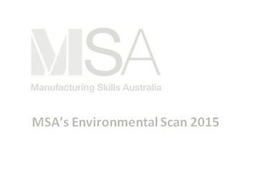 msa environmental scan blocks